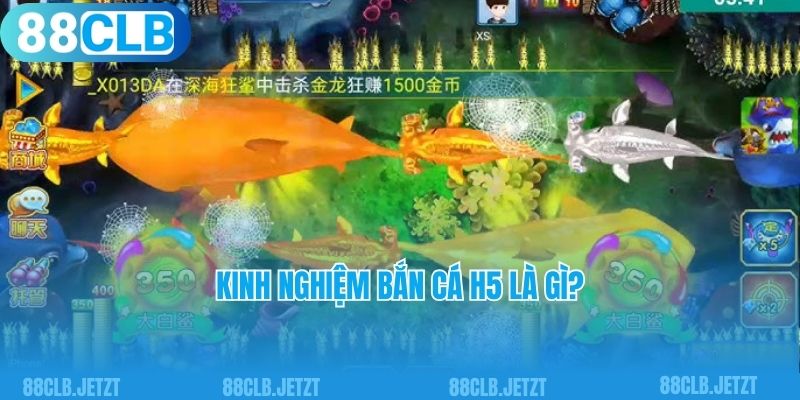 Kinh nghiệm bắn cá H5 là gì?