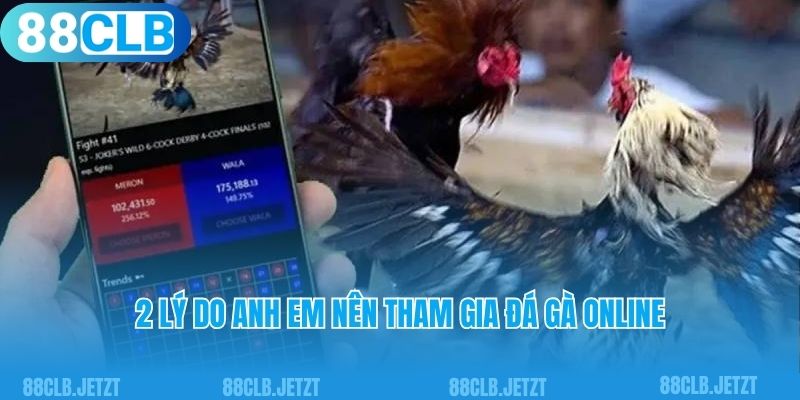 2 lý do anh em nên tham gia đá gà online