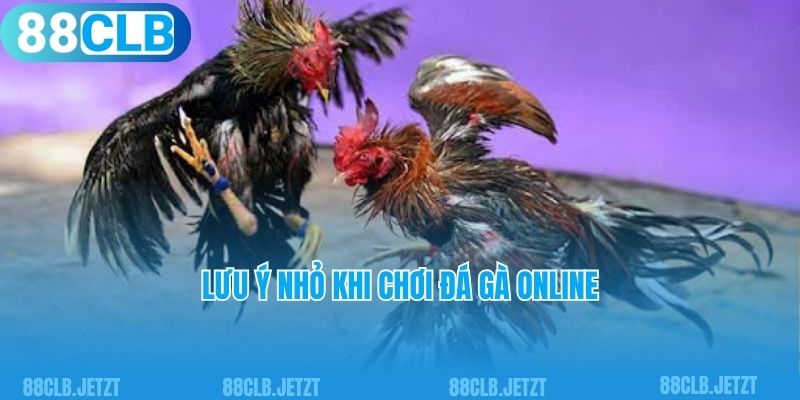 Lưu ý nhỏ khi chơi đá gà online